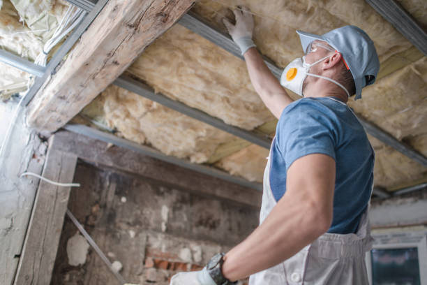 Best Insulation Repair Services  in Penhook, VA